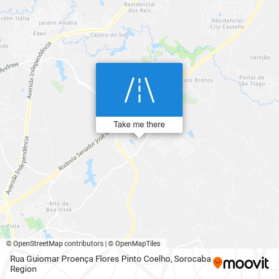 Rua Guiomar Proença Flores Pinto Coelho map