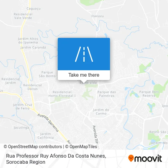 Rua Professor Ruy Afonso Da Costa Nunes map