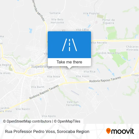 Rua Professor Pedro Voss map
