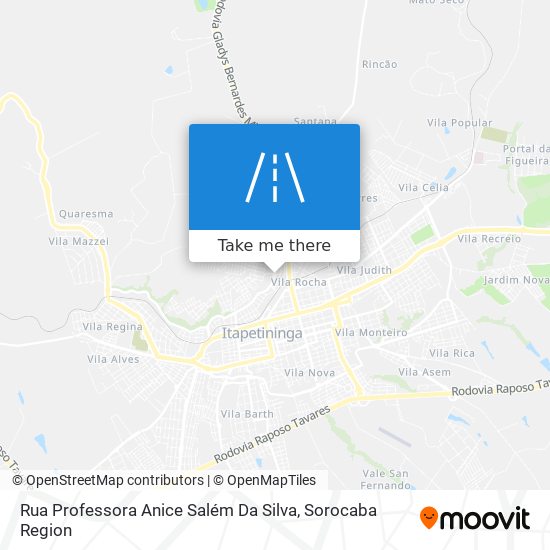 Rua Professora Anice Salém Da Silva map