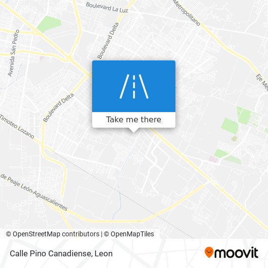 Calle Pino Canadiense map