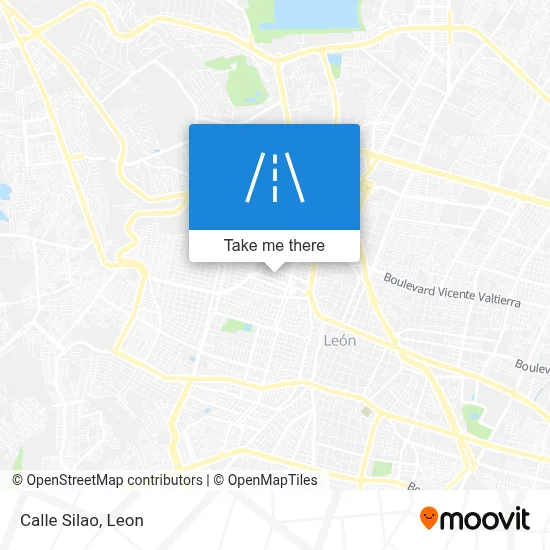 Calle Silao map