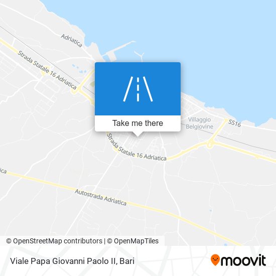 Viale Papa Giovanni Paolo II map