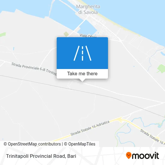 Trinitapoli Provincial Road map