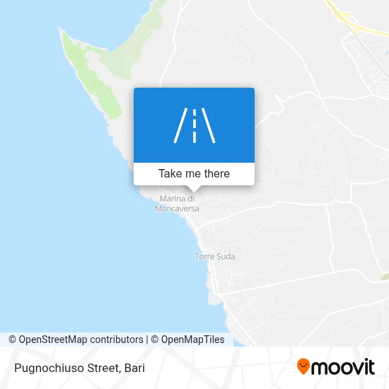 Pugnochiuso Street map