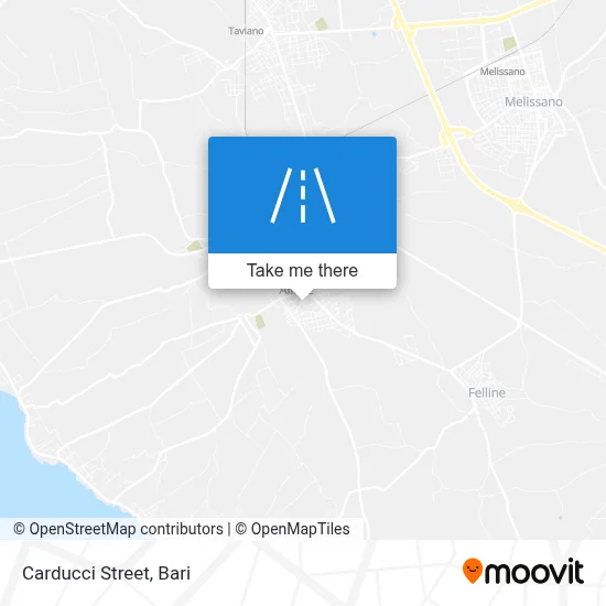 Carducci Street map