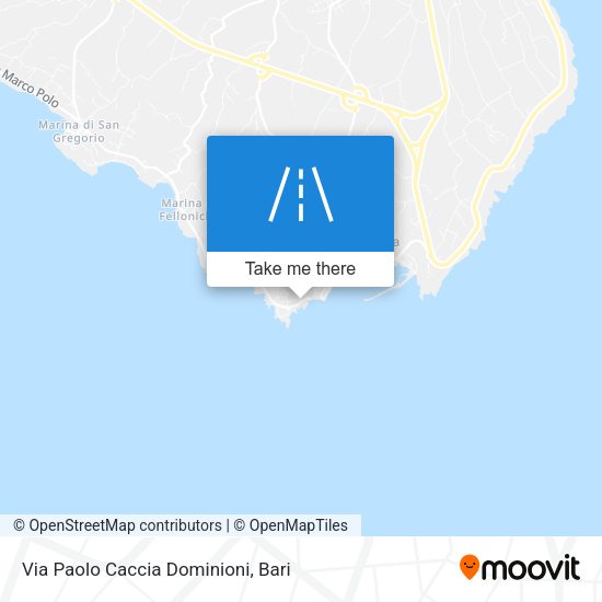 Via Paolo Caccia Dominioni map