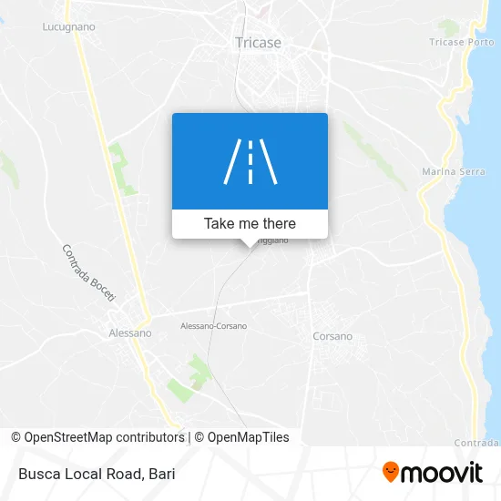 Busca Local Road map