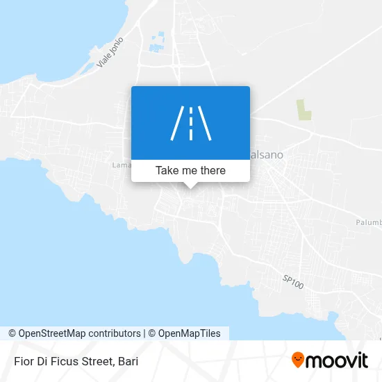 Fior Di Ficus Street map