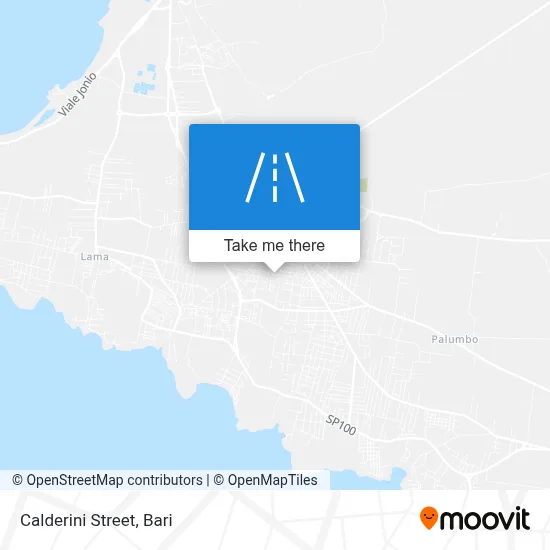Calderini Street map