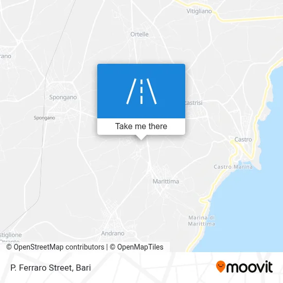 P. Ferraro Street map