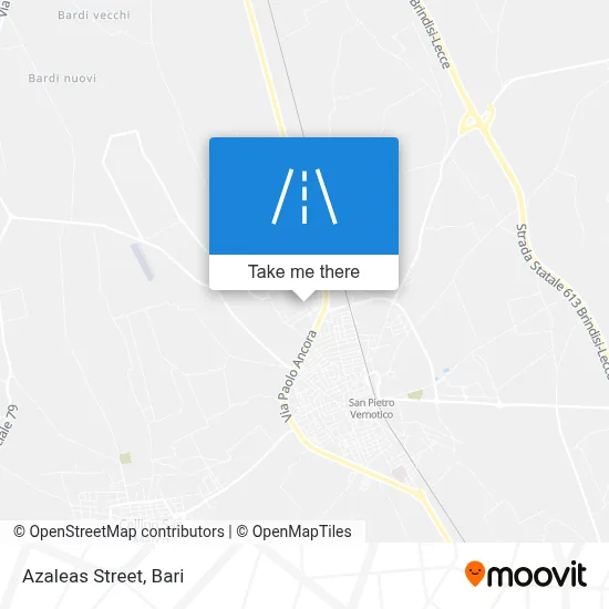 Azaleas Street map