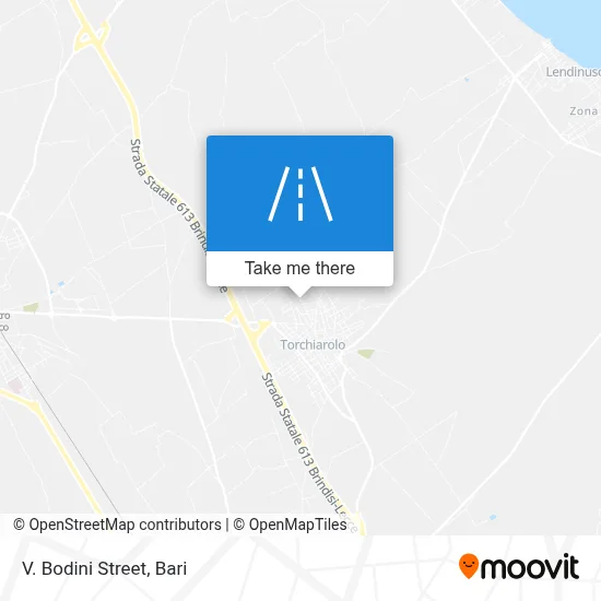 V. Bodini Street map