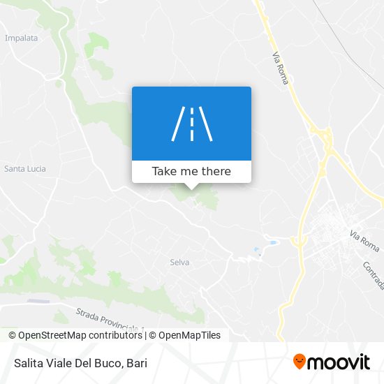 Salita Viale Del Buco map