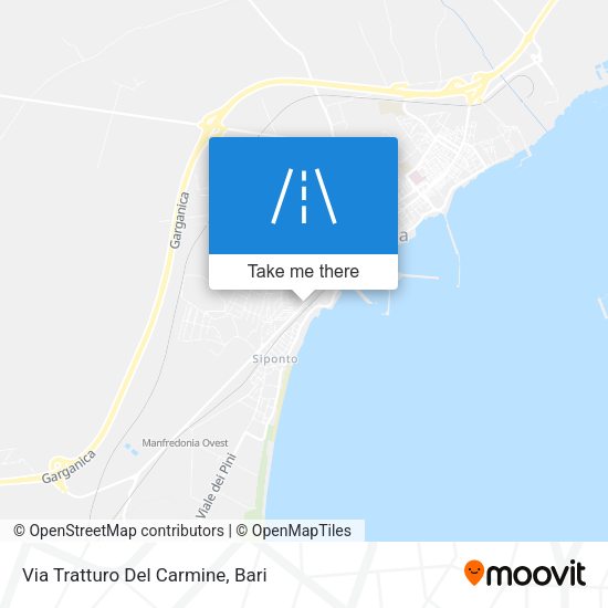 Via Tratturo Del Carmine map