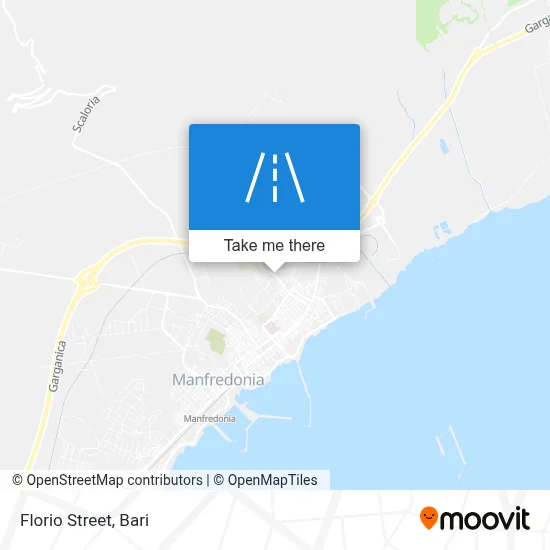Florio Street map