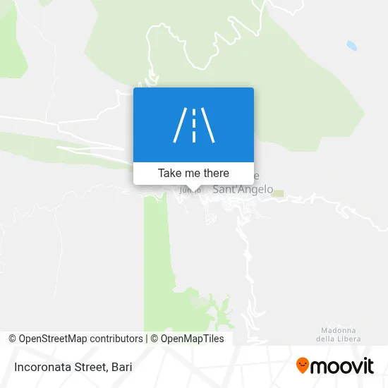 Incoronata Street map