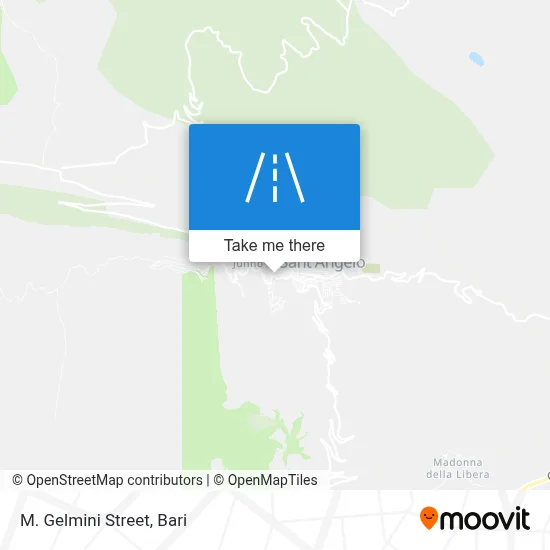 M. Gelmini Street map