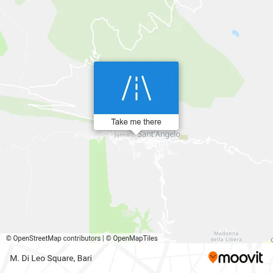 M. Di Leo Square map