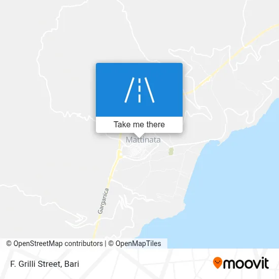 F. Grilli Street map