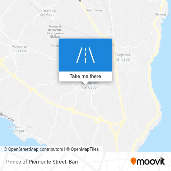 Prince of Piemonte Street map