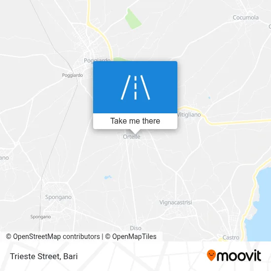 Trieste Street map