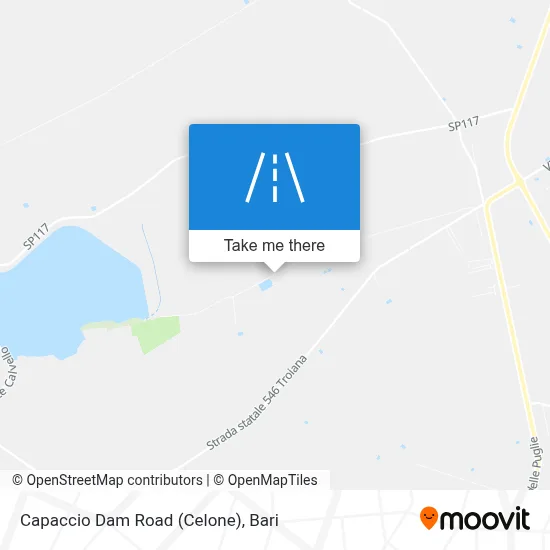 Capaccio Dam Road (Celone) map