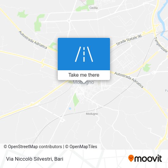 Via Niccolò Silvestri map