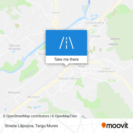 Strada Lăpușna map