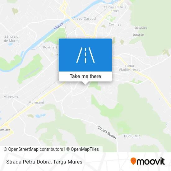 Strada Petru Dobra map