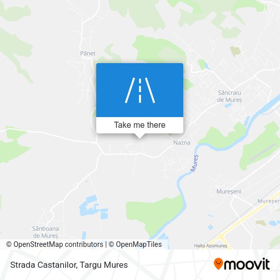 Strada Castanilor map