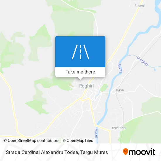 Strada Cardinal Alexandru Todea map