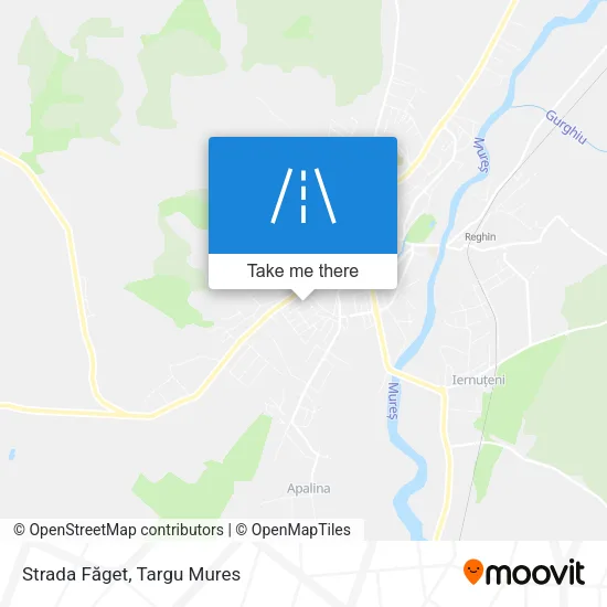 Strada Făget map