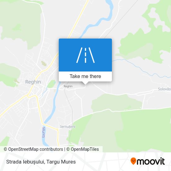 Strada Iebușului map