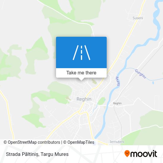 Strada Păltiniș map
