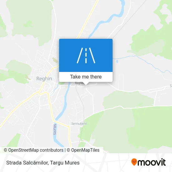 Strada Salcâmilor map