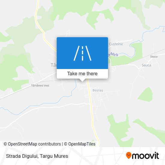 Strada Digului map