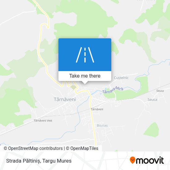 Strada Păltiniș map