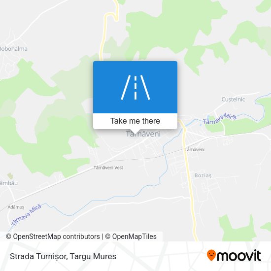 Strada Turnișor map