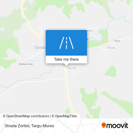 Strada Zorilor map