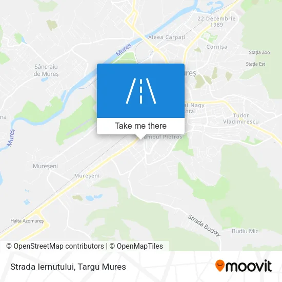 Strada Iernutului map