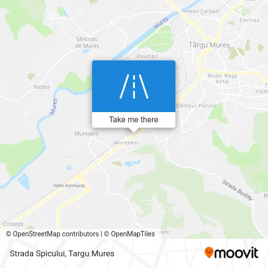 Strada Spicului map