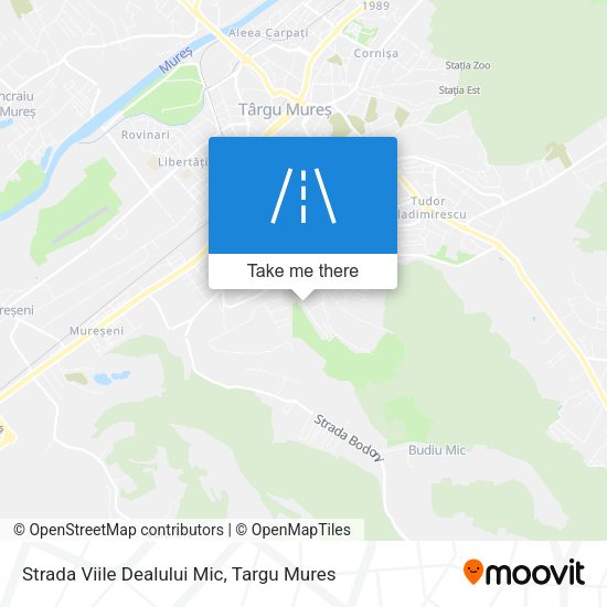 Strada Viile Dealului Mic map