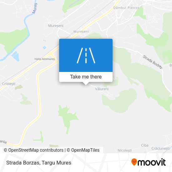 Strada Borzas map