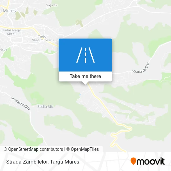 Strada Zambilelor map