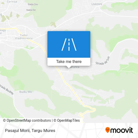 Pasajul Morii map