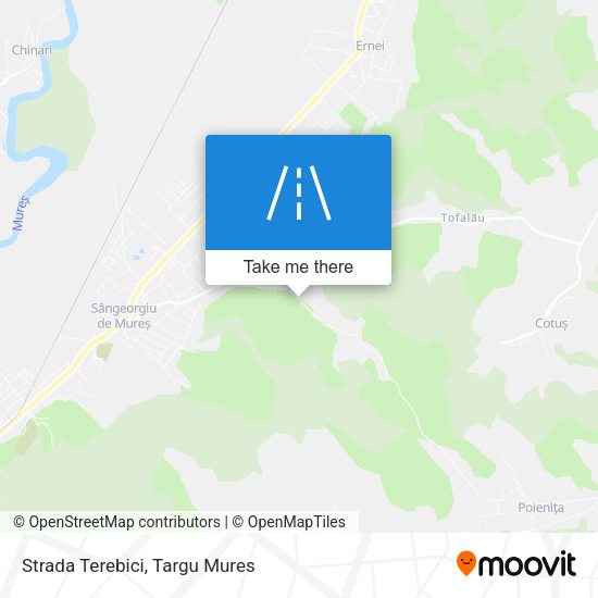 Strada Terebici map