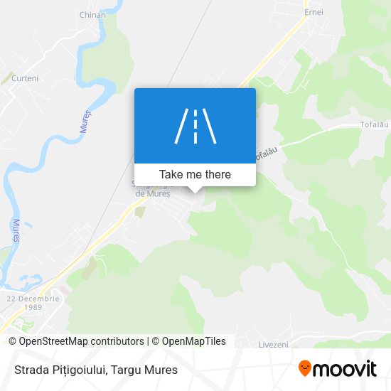 Strada Pițigoiului map