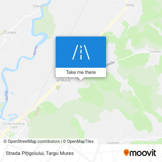 Strada Pițigoiului map