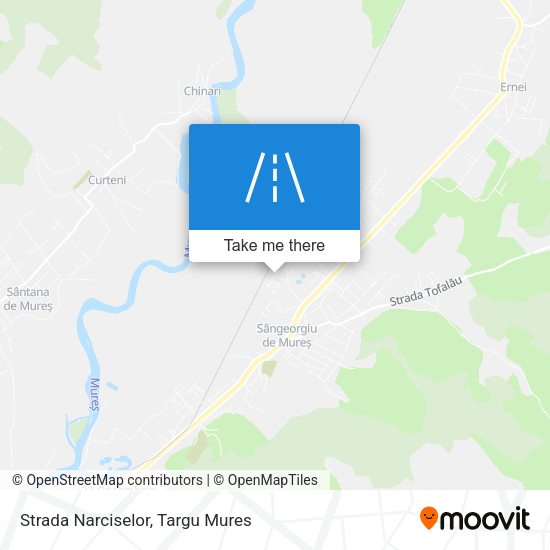 Strada Narciselor map